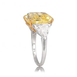 Platinum and Fancy Yellow Diamond Ring - Fremont Ring