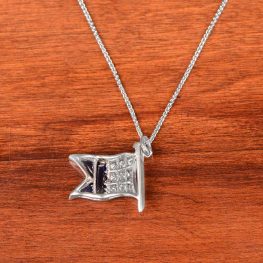 Front of 10670-2 Flag Necklace