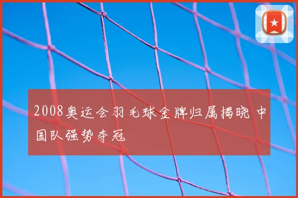 2008奥运会羽毛球金牌归属揭晓 中国队强势夺冠