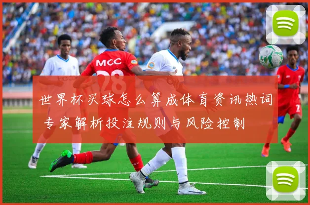 世界杯买球怎么算成体育资讯热词 专家解析投注规则与风险控制