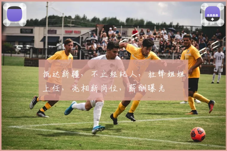 抵达新疆，不止经纪人，杜锋姐姐上任，亮相新岗位，薪酬曝光