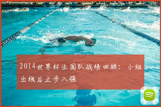 2014世界杯法国队战绩回顾:小组出线后止步八强