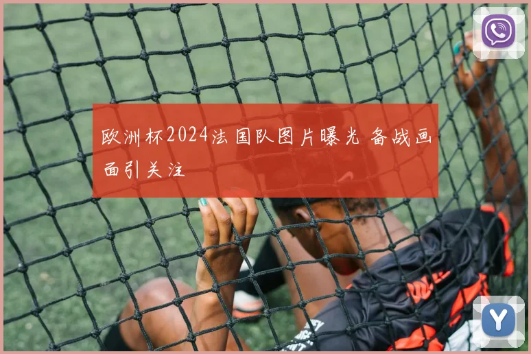 欧洲杯2024法国队图片曝光 备战画面引关注
