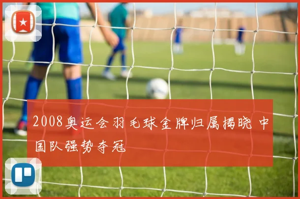 2008奥运会羽毛球金牌归属揭晓 中国队强势夺冠