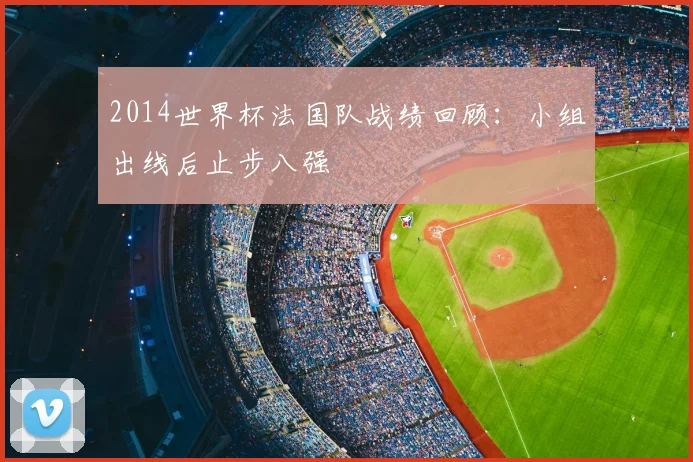 2014世界杯法国队战绩回顾:小组出线后止步八强