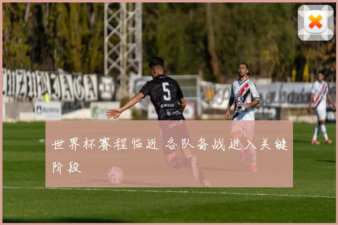 世界杯赛程临近 各队备战进入关键阶段