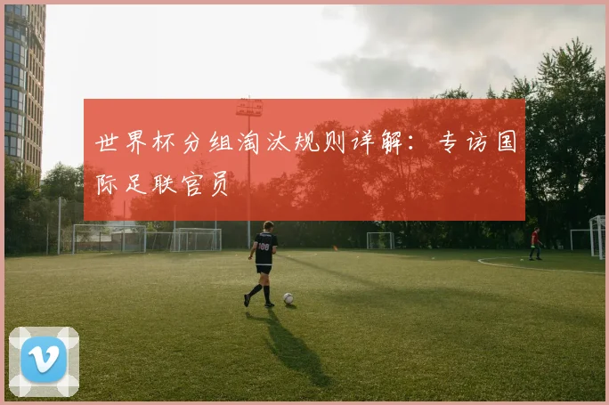 世界杯分组淘汰规则详解:专访国际足联官员