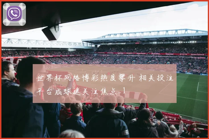 世界杯网络博彩热度攀升 相关投注平台成球迷关注焦点_1