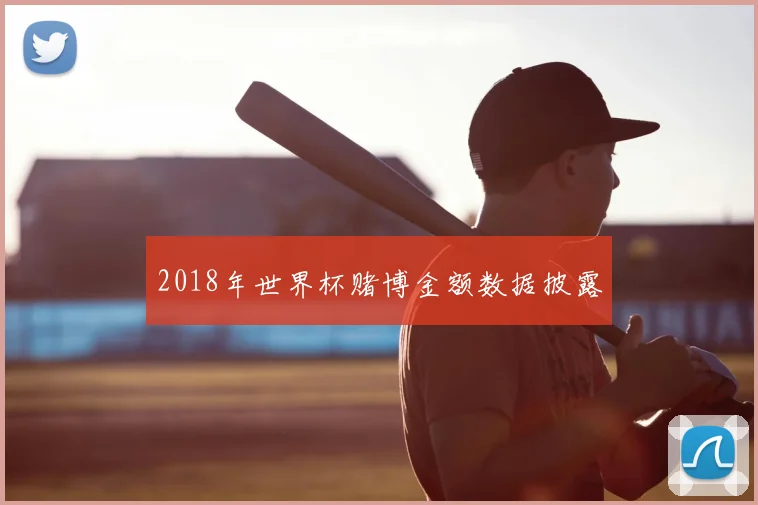 2018年世界杯赌博金额数据披露