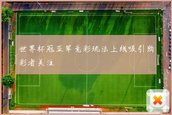 世界杯冠亚军竞彩玩法上线吸引购彩者关注