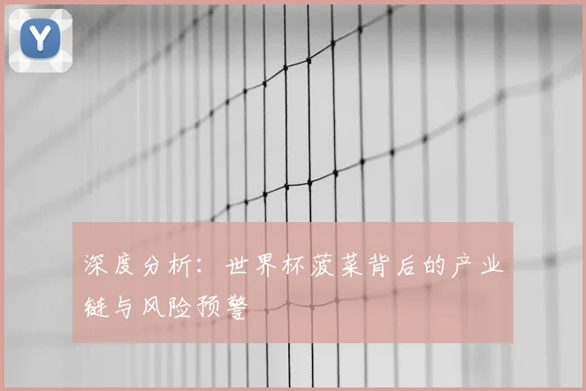 深度分析：世界杯菠菜背后的产业链与风险预警