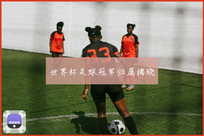 世界杯足球冠军归属揭晓