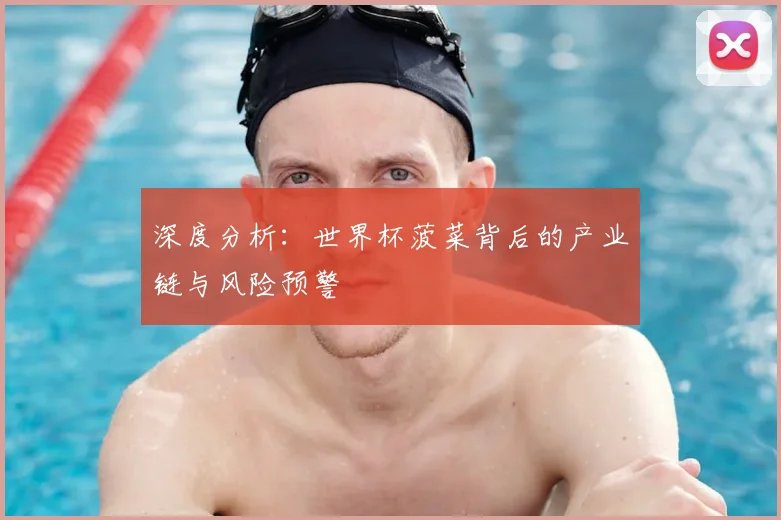 深度分析:世界杯菠菜背后的产业链与风险预警