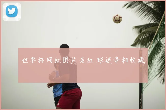 世界杯网红图片走红 球迷争相收藏